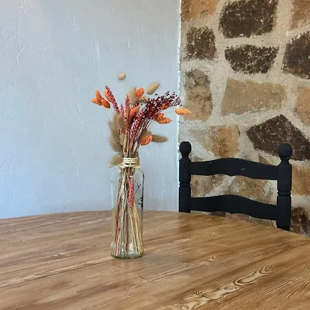 Apartment Del Valle *